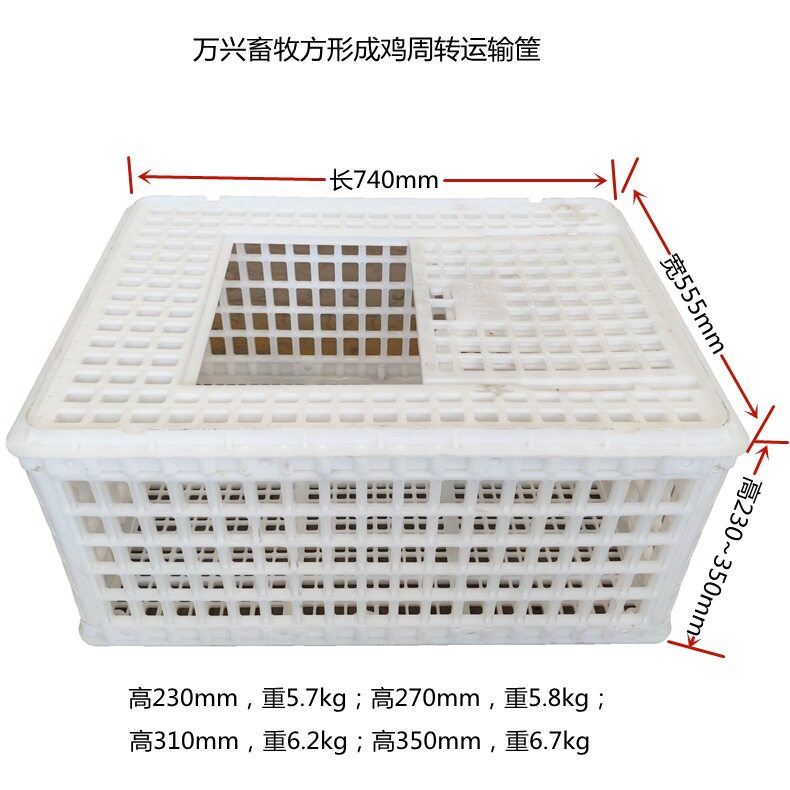 毛鸡运输箱 塑料鸡运输笼 鸡鸭鸽子周转筐