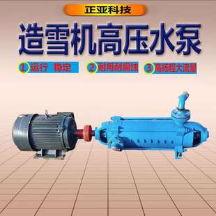 高压多级高压水泵造雪机多级增压水泵D12 厂家直供卧式 25X10