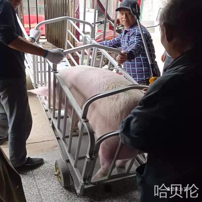 称重用运运输养殖设备装车母猪猪笼笼子加厚肥猪猪场拉猪推车转猪