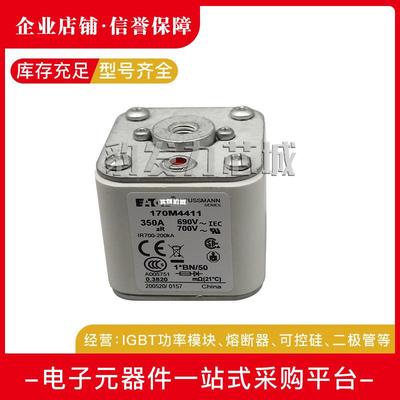 170M4464170M4465170M4466170M4467170M4468170M4469熔断器