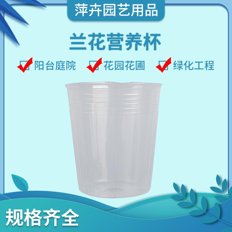 蝴蝶兰兰花用营养钵营养杯透明育苗盆花盆一次性移植兰花透明营养