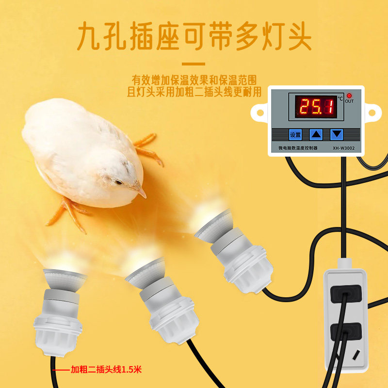 速发小鸡备恒箱育雏箱自动控温灯温温小鸟鸡鸭鹅鹌鹑养殖设保用保