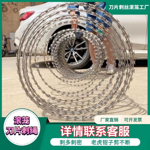 速发镀锌刺丝滚丝防锈刀片刺网防盗刀刺网围墙防爬刺铁笼绳围栏铁