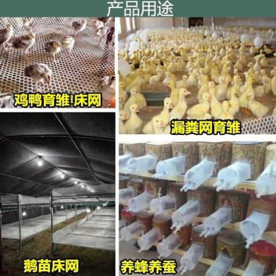塑料网格塑料平网育雏养殖网格动物网鸡鸭脚垫塑胶网围栏网拦鸡网