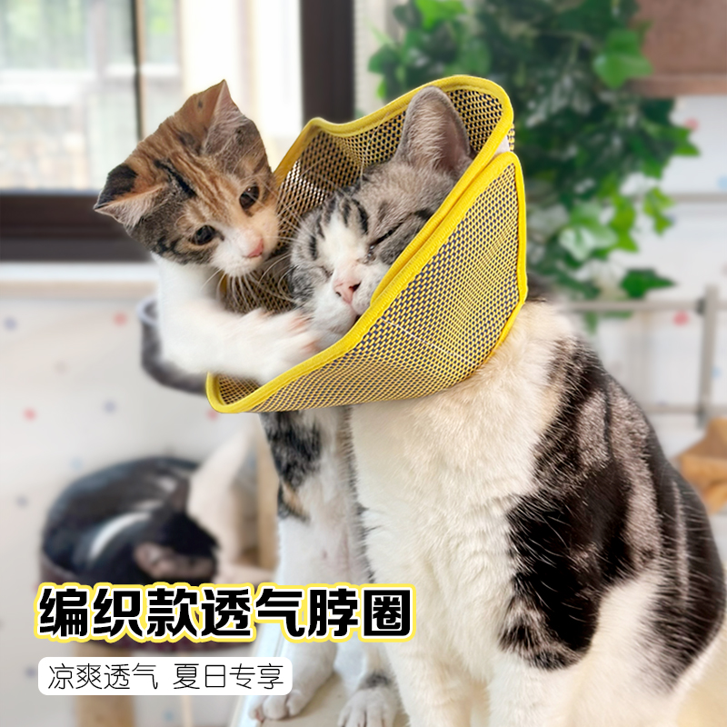 伊丽莎白圈猫咪幼猫夏天柔软猫圈透气绝育防舔狗脖圈头套宠物项圈