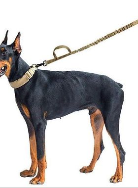 Practical Dog Traction Rope Training Leash Elastic Pet