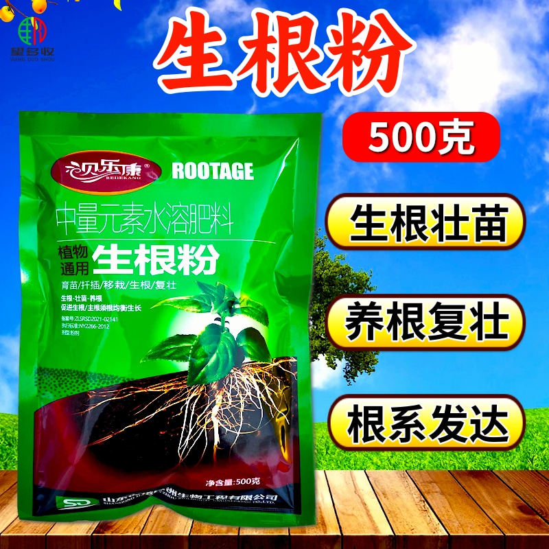 植物生根粉贝乐康移栽扦插育苗定植主根侧根毛细根生根快生根剂