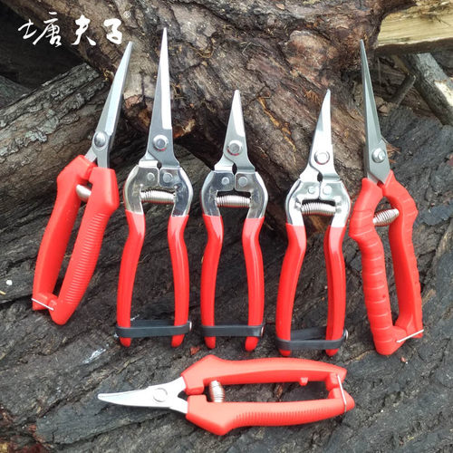 剪花枝剪刀修花 家用 园艺 葡萄桔子水果采果剪 园林工具树枝修枝