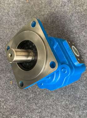 供应齿轮泵CBKP-80/63/40-BFP多种规格齿轮泵