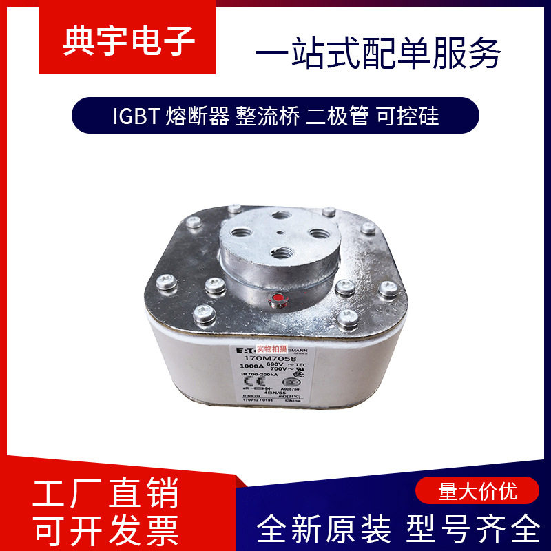 熔断器170M7498  7491  7499   7500  7507  7510  7511型号齐全