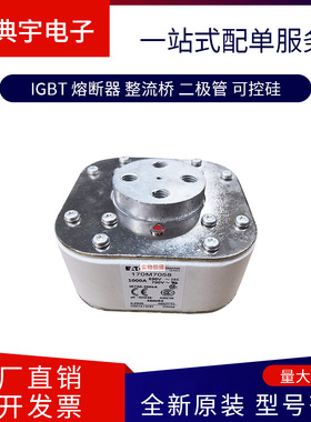 熔断器170M7498  7491  7499   7500  7507  7510  7511型号齐全