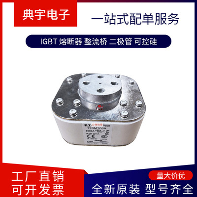 熔断器170M7498  7491  7499   7500  7507  7510  7511型号齐全