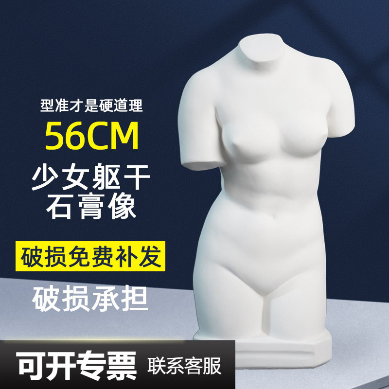 绘岳56cm少女躯干美术石膏人物头像素描石膏像胸像写生美术室配套
