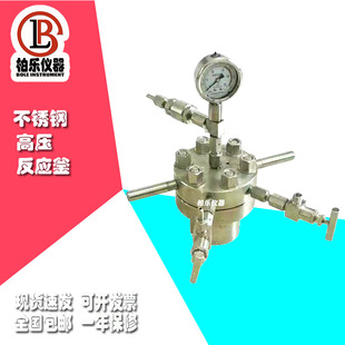简易高压搅拌微型高压反应釜25ml50ml500ml惰性气体压力化学