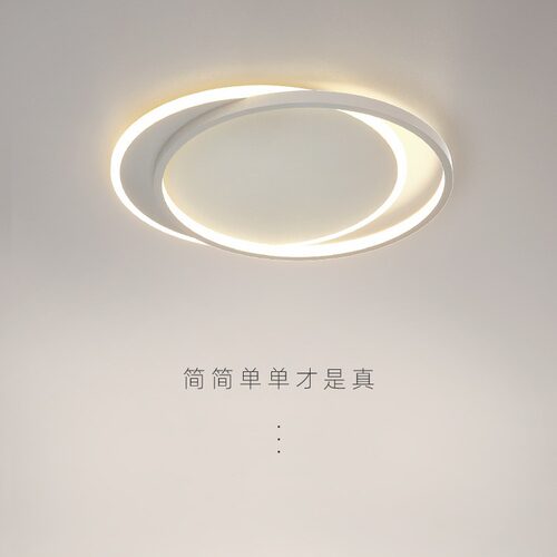 2025新款北欧极简LED吸顶灯