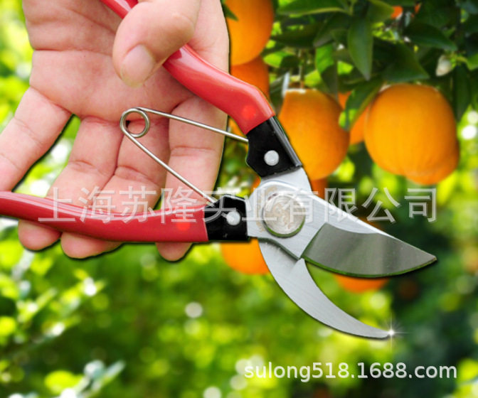 德国120S-8果树葡萄修枝剪刀花剪园艺德狮宝剪刀树枝剪粗枝剪刀