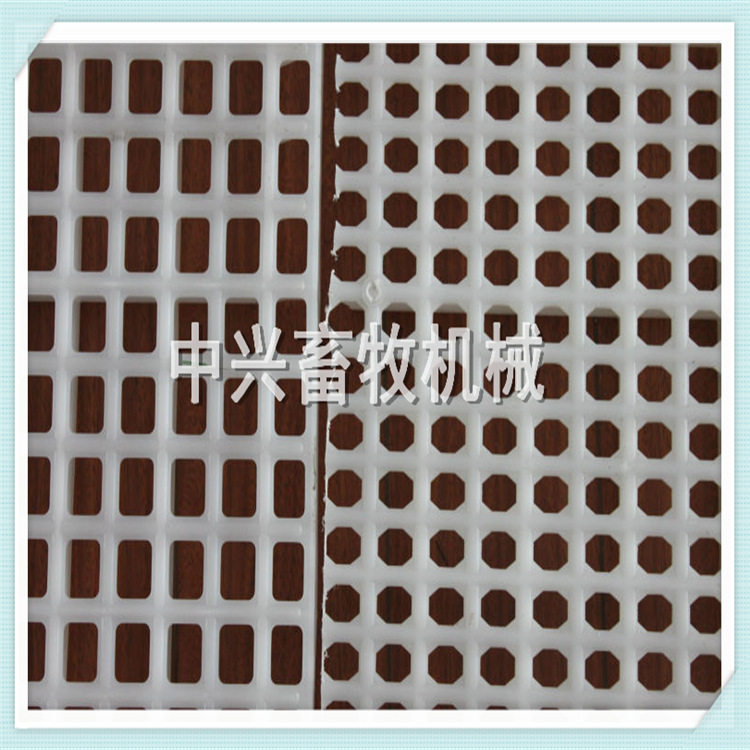 鸭场专用塑料漏粪地板 养鸭漏粪板网床