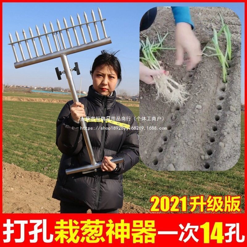 种葱栽葱栽苗器打眼大葱叉子自动打孔工具洋葱种菜移栽移苗器