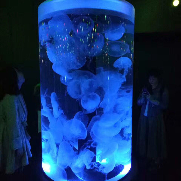 商用大型落地式亚克力海洋鱼缸水族馆水母缸圆柱体鱼缸海洋馆别墅