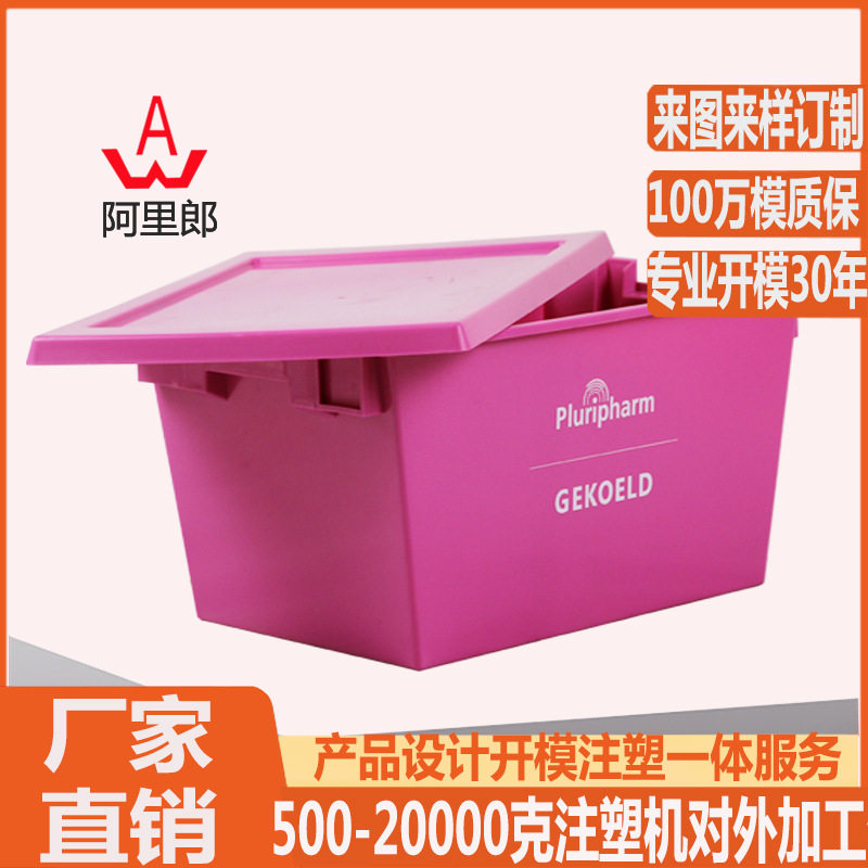 特殊用途带盖周转箱模具塑料平盖整理箱模具塑料箱子模具厂家
