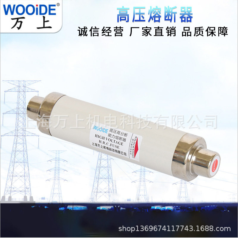 高压限流熔断器XRNT10-12KV10A20A40A50A63安80A100A箱变保险管丝