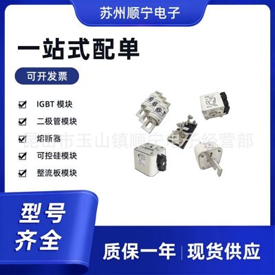 170M3650  170M3655  170M3658 熔断器保险丝 全新原装 型号齐全