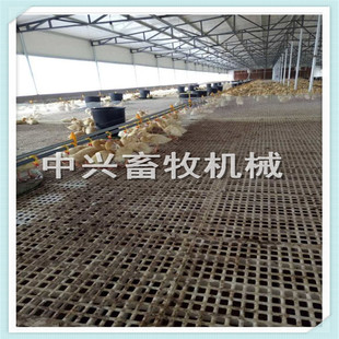 种鸡用塑料网床 漏粪地板高清图片 鸭舍漏粪板规格