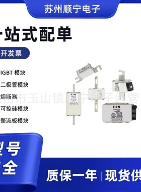 170M3218  170M3219 熔断器保险丝 电子原件 全新原装 型号齐全