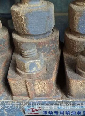 大柴喷油泵总成 S1111010-C221 龙泵配套油泵 BP1926 原厂现货