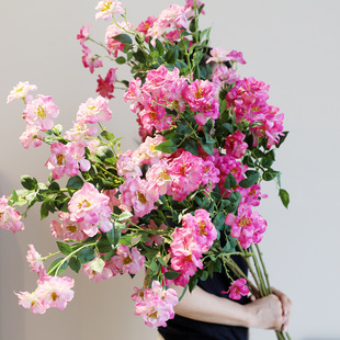 蔷薇仿真花小玫瑰假花花束客厅餐桌摆件花篮装饰室内月季绢花塑料
