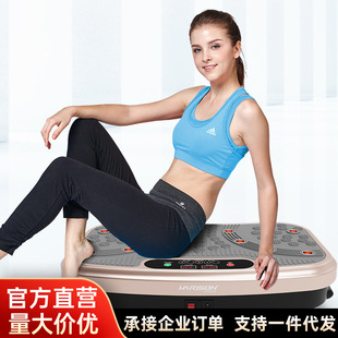 HARISON汉臣塑身律动懒人有氧运动抖抖机多功能震动机HR 341