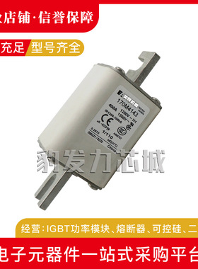 170M4195/4196/4197/5188/5189/5190/5191全新熔断器现货