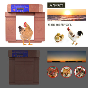 APP控制双开式鸡舍门电动门 定时/光感/遥控太阳能充电 现货批发