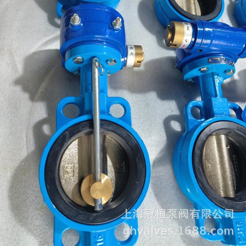 FD371X-16Q DN50球墨铸铁软密封对夹防盗蝶阀加密蝶阀