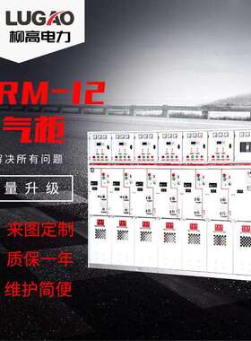 SRM-12全绝缘高压气体环网柜SF6六氟化硫配电柜10KV充气柜RMU