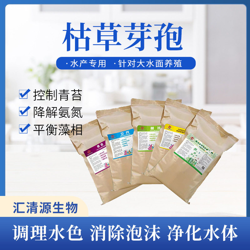枯草芽孢杆菌 厂家直供净水养殖多功能菌 水产养殖枯草芽孢杆菌