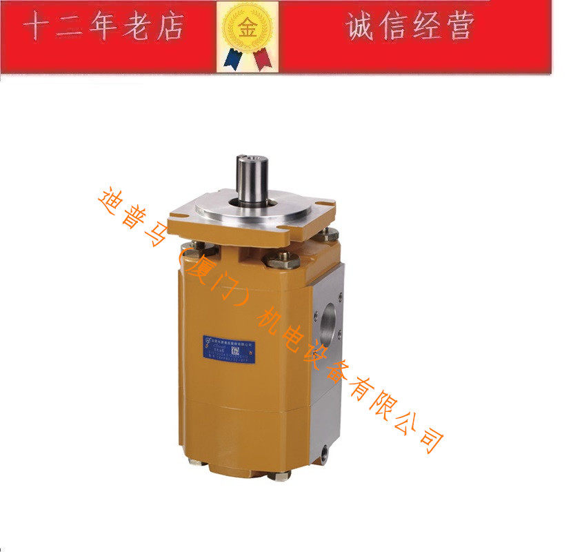 HCHC合肥长源双联齿轮泵CBKP80/80-BFPR CBKP80/63 CBKP80/50
