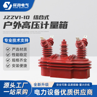 JZZV1-10 高压计量箱户外高压 电力计量箱10 kV两元件柱上组合