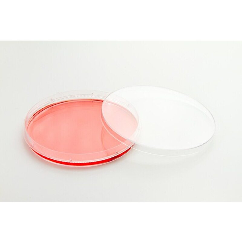 150464赛默飞Nunc EasYDish 培养皿聚苯乙烯无菌100mm Thermo