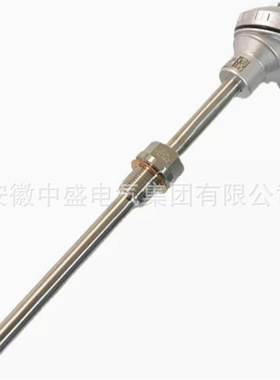 WZPK2F-430防腐热电阻 防腐铠装热电阻