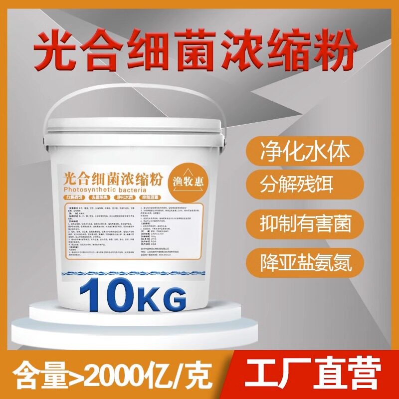光合细菌菌种剂水产养殖鱼塘净化水质降解亚盐氨氮光合细菌培养基