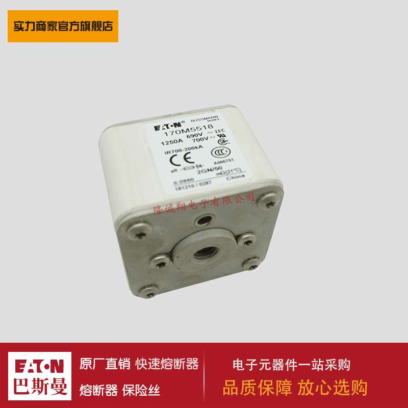 熔断器170M5594 170M5595 170M5596 170M5597 170M5598 170M6588