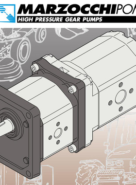 ALPA2-D-10-FG+ALPI2-10-FG+ALPP2-D-10双联齿轮泵MARZOCCHI
