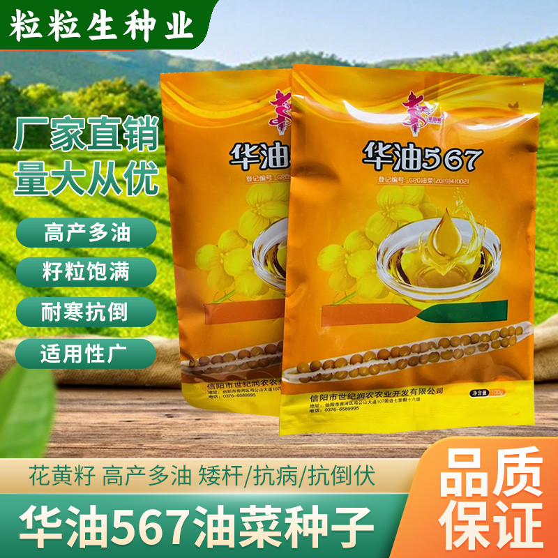 华油567油菜子高产油菜籽种批发