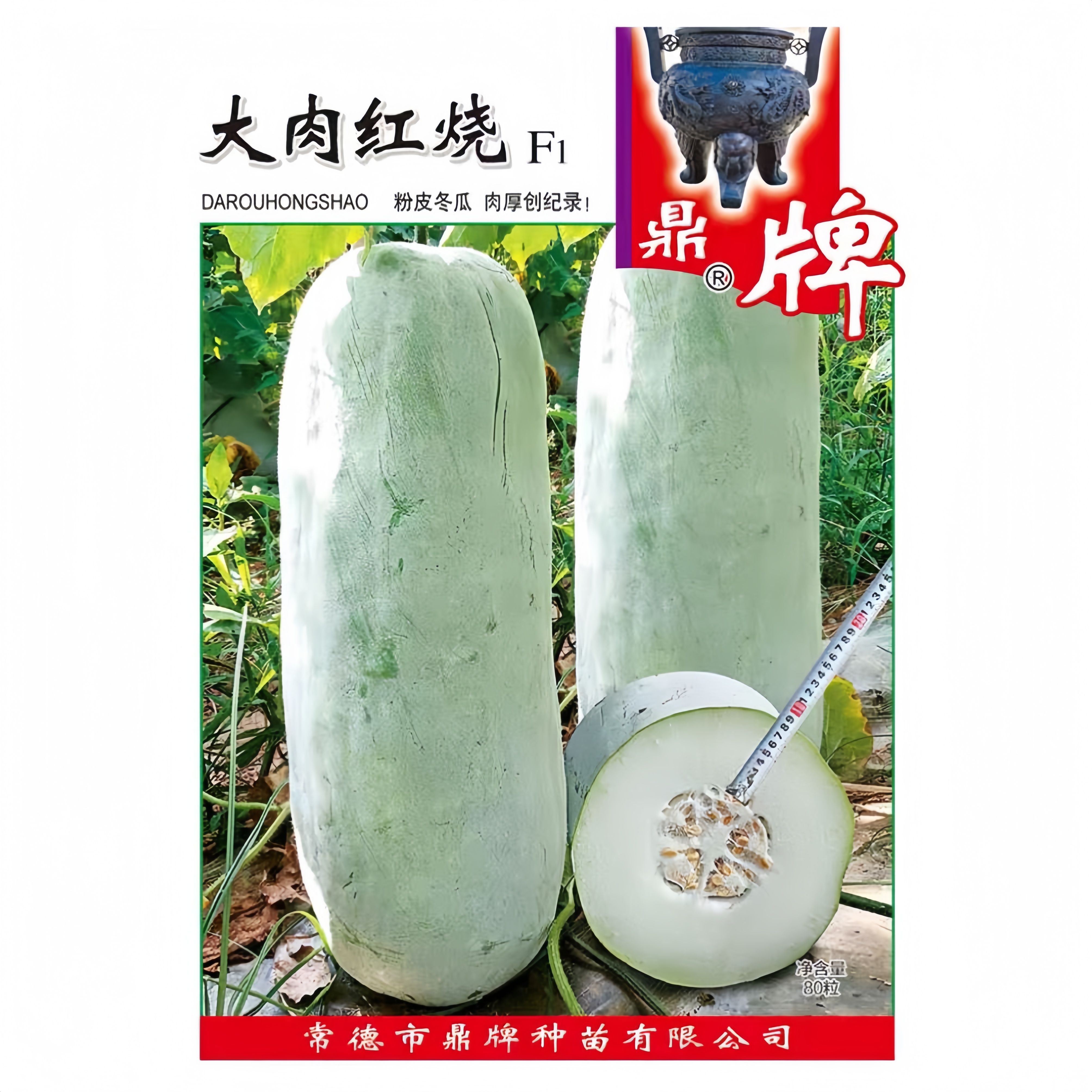 鼎牌大肉红烧冬瓜种粉皮冬瓜种籽