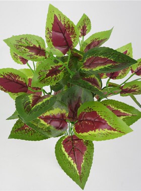 好货仿真植物墙绿植背景墙配材客厅阳台墙面装饰花草插花假花绿萝
