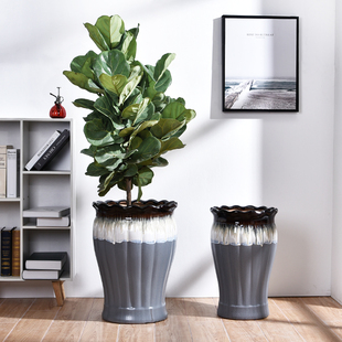 11铁树落地种树陶瓷花盆发财树超大号阳台客厅庭院绿植花盆特高大