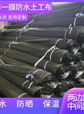 XQ两布一膜黑色复合土工布防水布防渗防漏防晒隔热