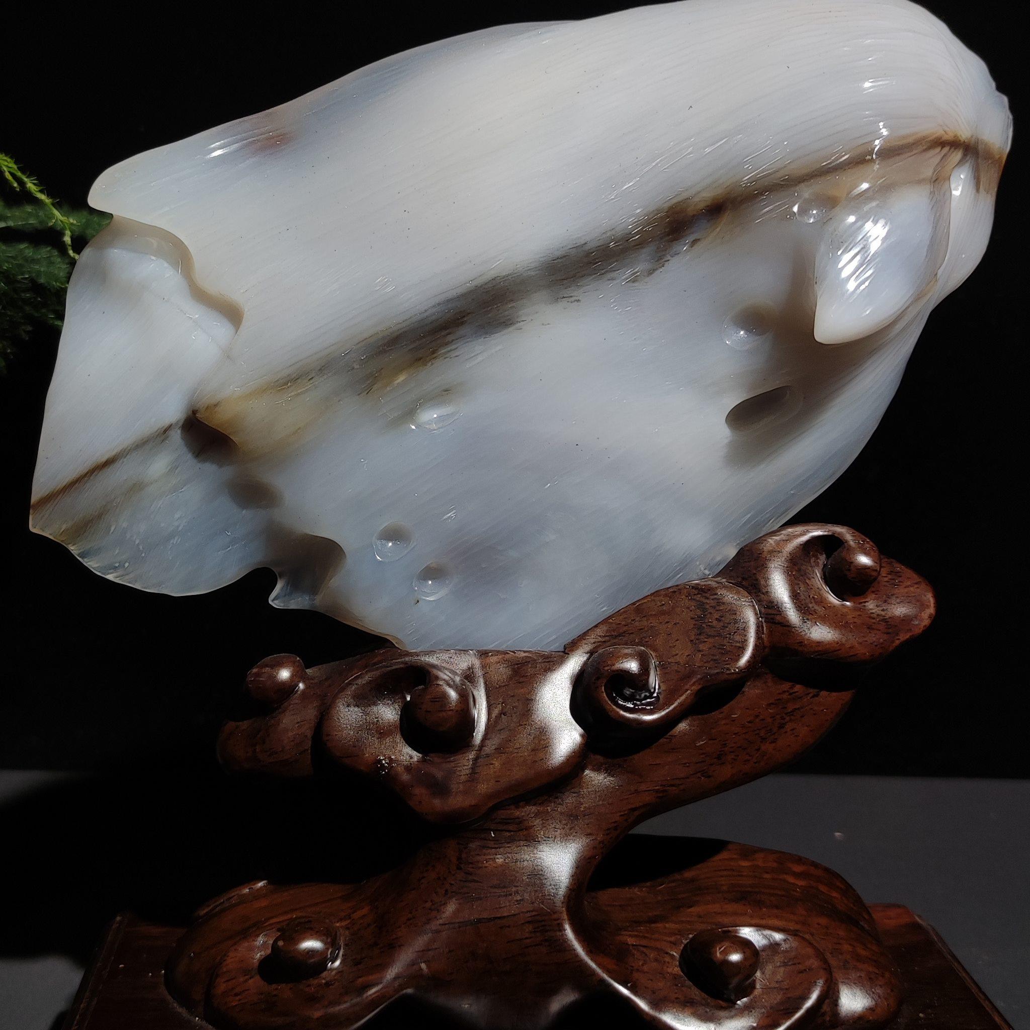 缅甸冰种木化石天然玉石树化玉硅化木桌面装饰乔迁博古架收藏摆件