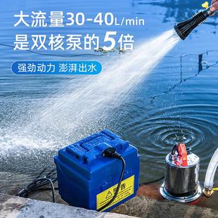 潜水泵家用抽水浇菜12v24v大功率花园便携式 充电式 户外抽水泵